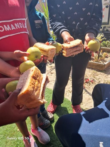 Children hold sandwiches and fruit in a sunny outdoor setting.